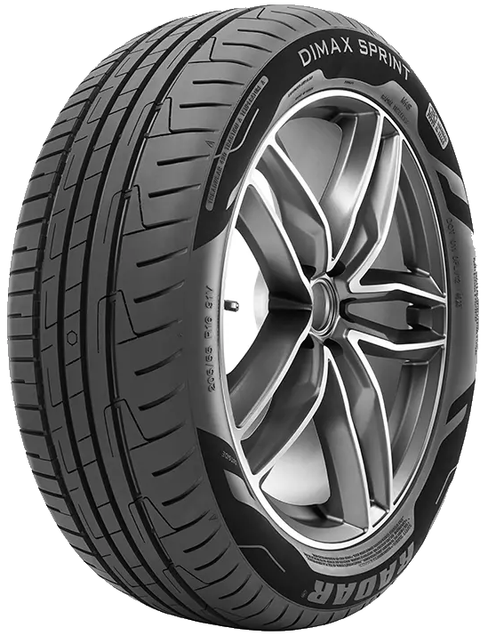 195/65R15 95H Radar DIMAX SPRINT XL