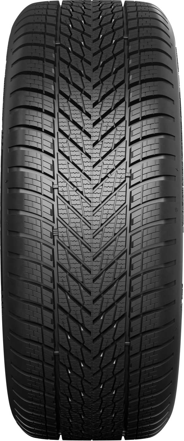 205/45R16 87H Dunlop WINTER XL RP
